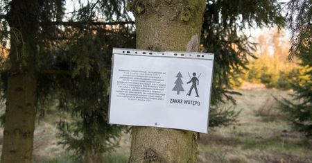 Zakaz wstępu do lasów. RPO: zbędny i zbyt daleko idący