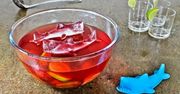 Sylwestrowy drink z rekinem