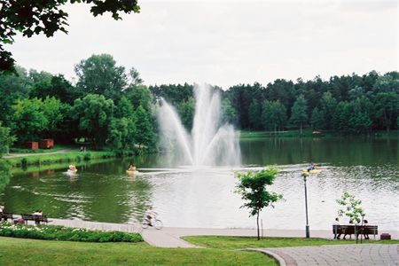 Obraz
