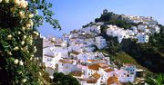 Malaga i okolice. Co można zobaczyć i gdzie wypocząć?