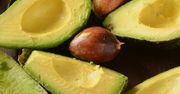 Co wiesz o awokado? Sprawdź