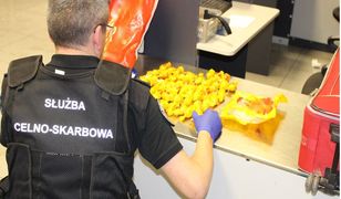 Warszawa. Zaskakujące odkrycie na lotnisku Chopina