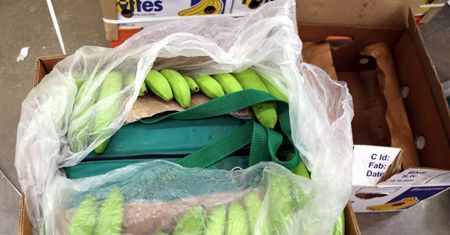 Kokaina w bananach na Mazowszu. To nie pojedynczy przypadek