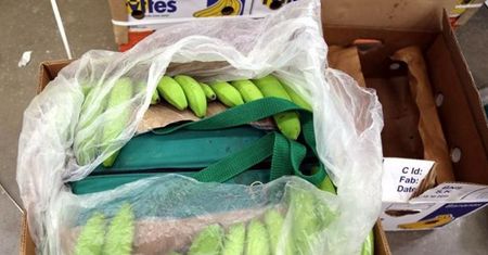 Kokaina w bananach. "Pewnie ją będą palić na stosie"