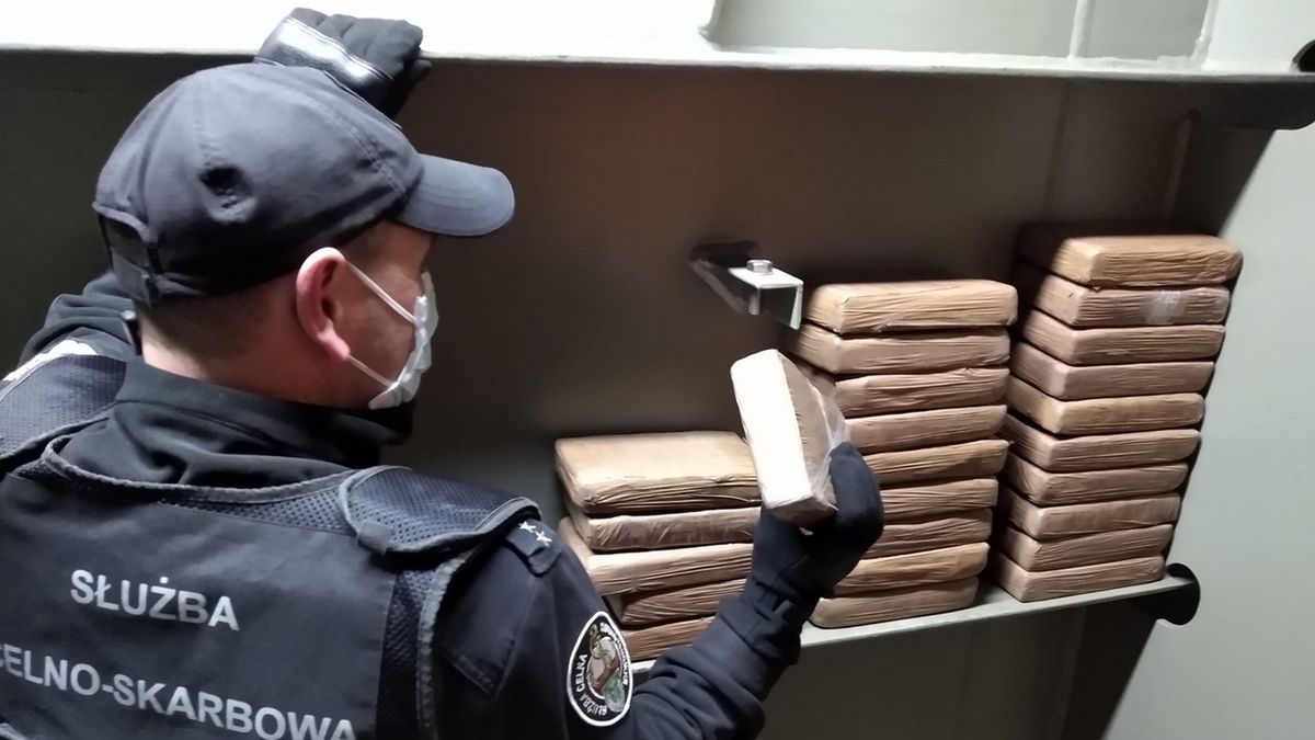 Służby celne udaremniły przemyt 25 kg kokainy w Gdańsku. Kolejne 35 kg przejęto w porcie w Rotterdamie