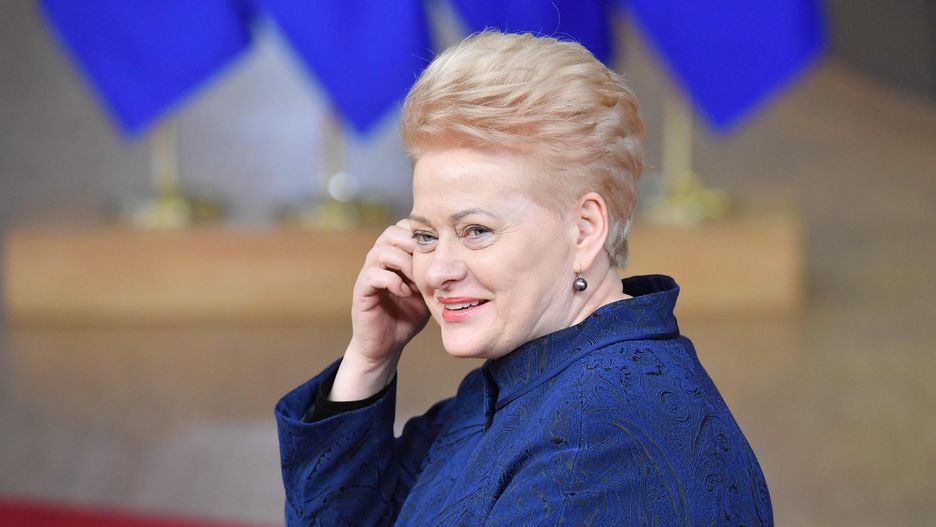 Dalia Grybauskaite wręczyła nowemu ambasadorowi listy uwierzytelniające