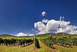 Tokaj - najpiękniejsze miasteczko w Europie