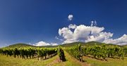 Tokaj - najpiękniejsze miasteczko w Europie