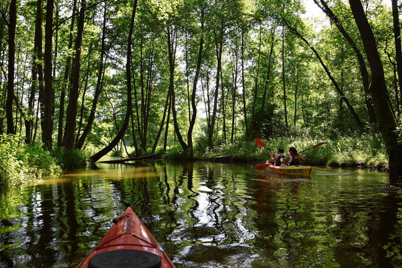 Spływ Piławą jest w ofercie wielu firm oferujących kajakowe wycieczki i wyprawy 