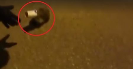 Przestraszony jeż próbował wydostać się z plastikowego kubka. Z pomocą przybyli policjanci [WIDEO]