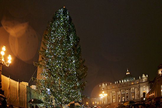 Zapłonęły światła na choince na placu św. Piotra