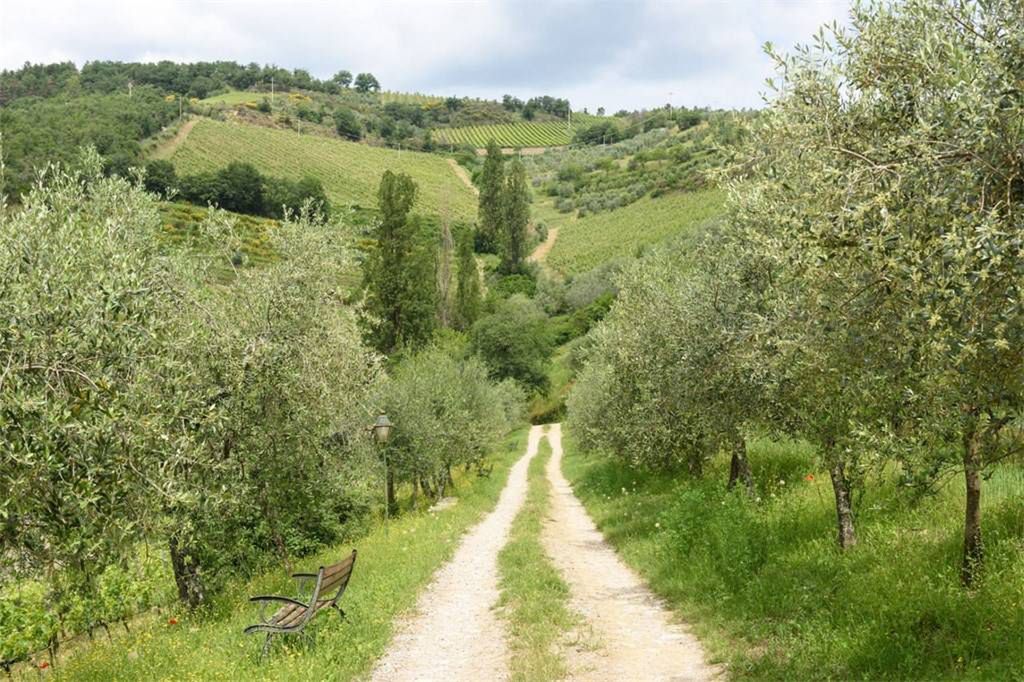 Baśniowa sceneria