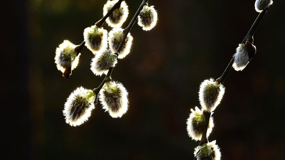 Pogoda na Wielkanoc 2020. W niedzielę ciepło. W Poniedziałek Wielkanocny znacznie chłodniej