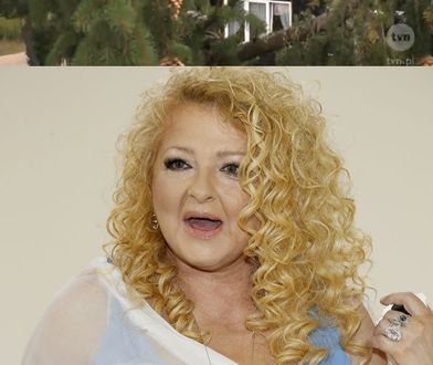 W karczmie, która przeszła "Kuchenne Rewolucje", odkryto plantację konopi!