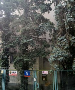 Monika Jaruzelska wprowadzi się do domu ojca. "Tu czuję się najlepiej"