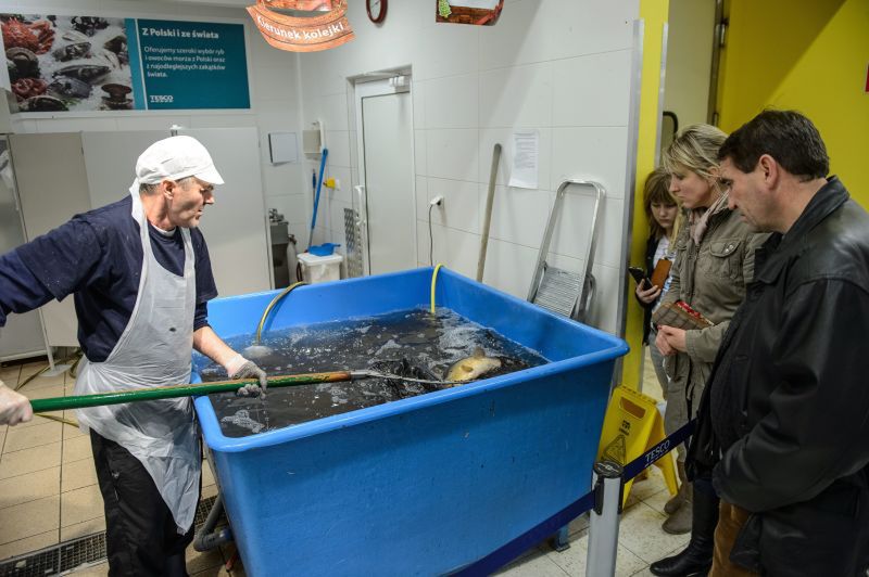 Czy kupujesz żywe ryby w supermarketach?