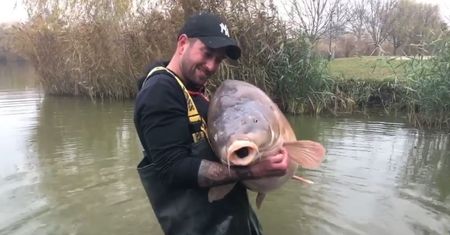 Największy karp świata złowiony na Węgrzech