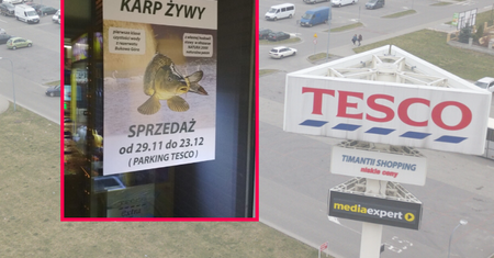Tesco oficjalnie zrezygnowało ze sprzedaży żywych karpi. Ale znaleźli inny sposób