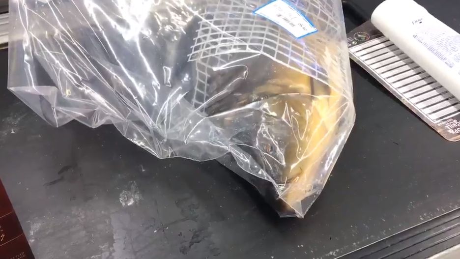 Sieć Carrefour jako jedna z nielicznych zdecydowała się na sprzedaż żywych karpi. 