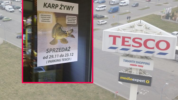 Z jednej strony deklaracja o dobrostanie zwierząt, z drugiej - sprzedaż na parkingu.