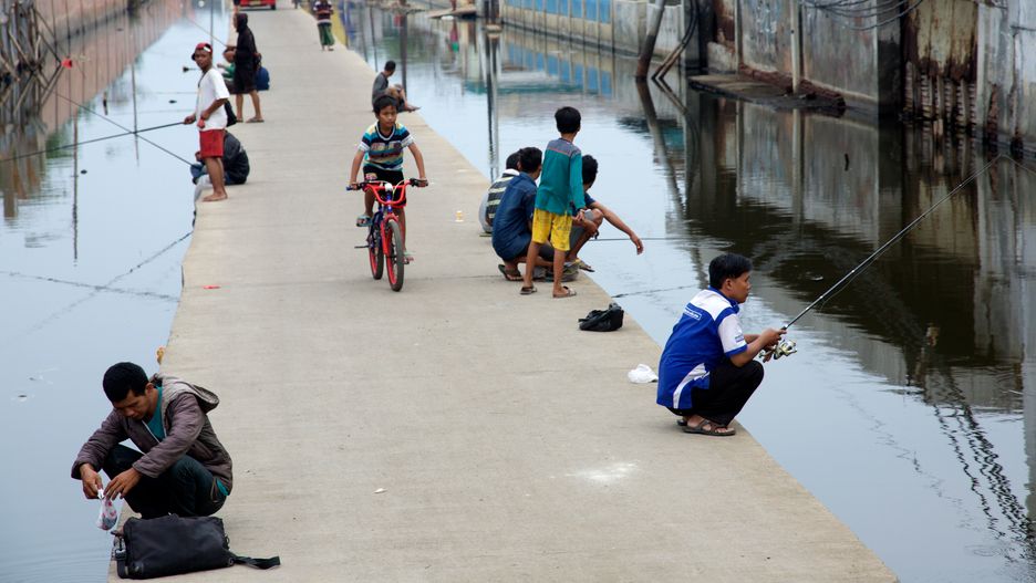 Dżakarta – miasto które tonie