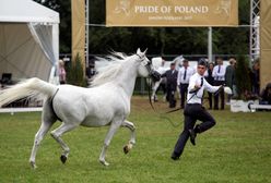 Pride of Poland jednak się odbędzie. Jest oświadczenie