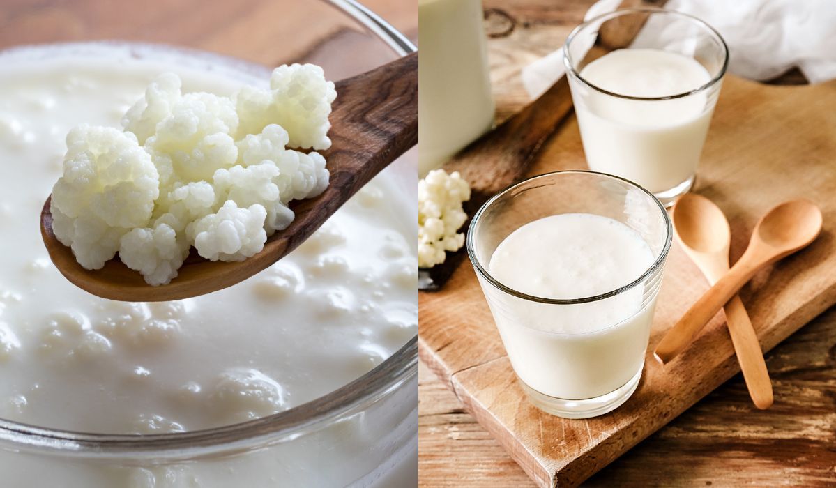 Domowy kefir - Pyszności; Foto Canva.com