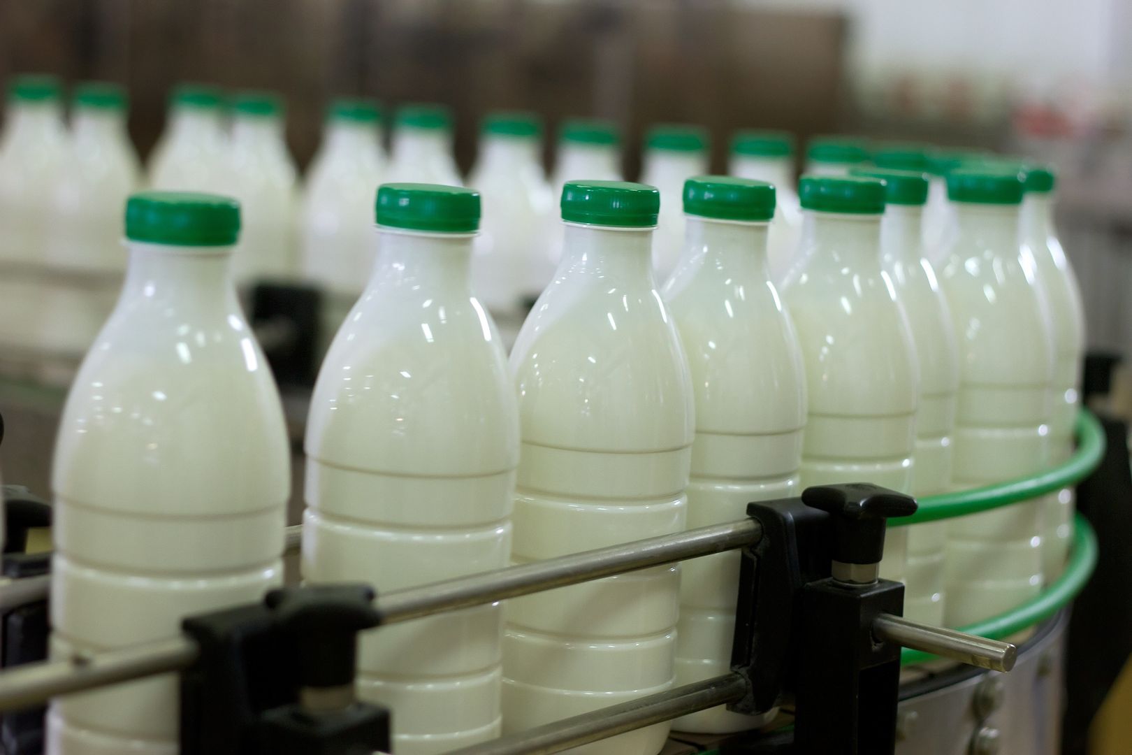 Czym się różni kefir od maślanki