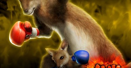 Kangur bokser znika z "Tekkena 7". Powód? Urażeni aktywiści