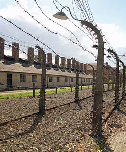 19-latek oddał mocz na schody pomnika w Auschwitz. Jest decyzja sądu