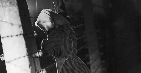 "Podróż Cilki". Kontynuacja "Tatuażysty z Auschwitz" jest wstrząsająca