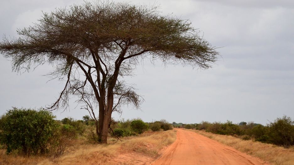Na trasie z Nakuru do Eldoret zginęło w grudniu ponad 100 osób