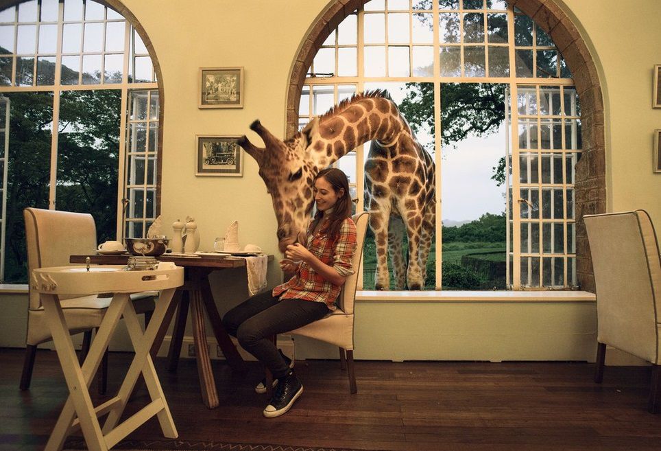 Giraffe Manor