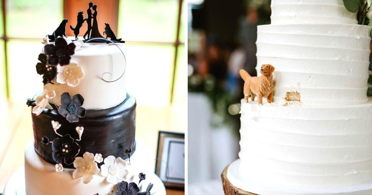 10 Wedding Cakes With Newlyweds' Pets