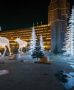 Skrzaty, glögg i… łosie. Sztokholm gotowy na święta