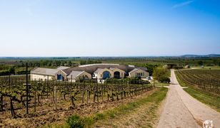 Węgry - odwiedź tokajski region winiarski