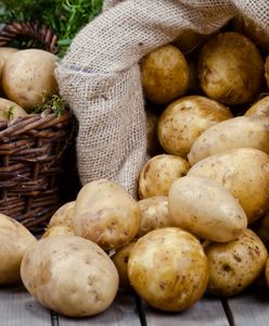 Jedz ziemniaki. Naukowcy odkryli ich niezwykłe właściwości zdrowotne