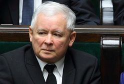 Polacy wskazali za co cenią PiS. Sondaż dla WP