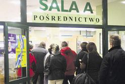Bezrobotni szturmują urzędy pracy