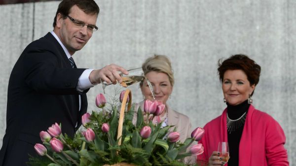 Kosz tulipanów "Aleksander Kwaśniewski"