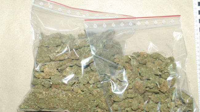 Przechwycona marihuana