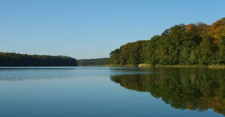 Park Narodowy Wielkopolski. Szlaki, wycieczki, co warto zobaczyć