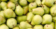Gruszki - smaczne i zdrowe owoce