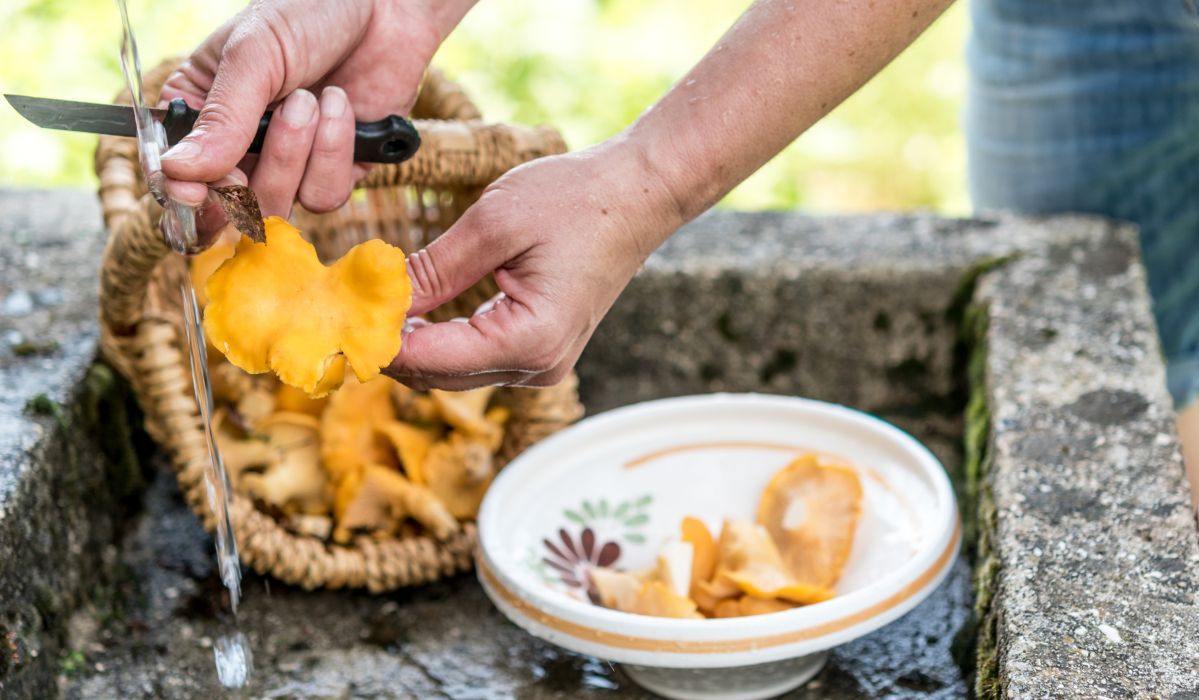 Jak oczyścić kurki? - Pyszności; Foto Canva.com