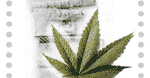 Marihuana na granicy
