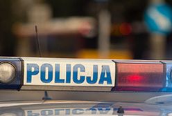 Wypadek na krajowej "7". 16 osób rannych