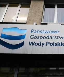 "Kupują terenówki, a podwyżek nie ma". 200 aut dla Wód Polskich