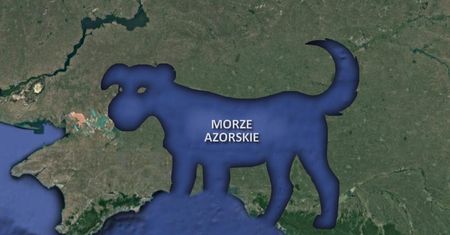 "Tymczasem na Morzu Azorskim". Internauci kpią z wpadki Petru