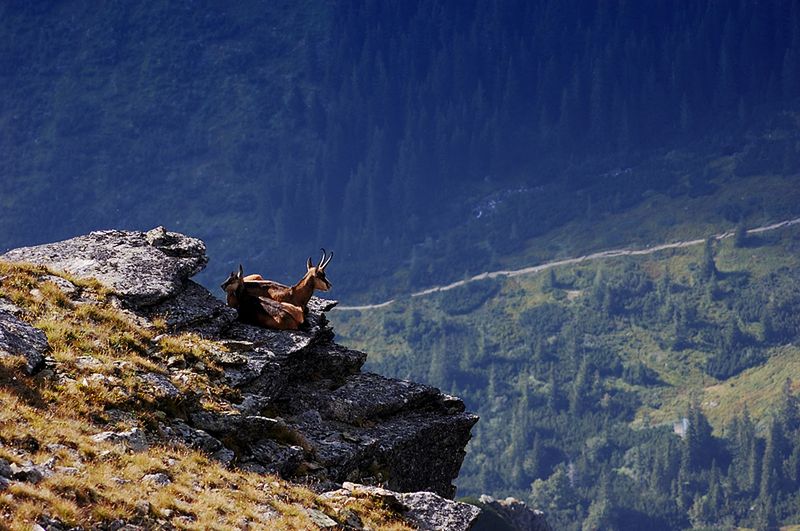 Słowackie Tatry przyciągają. Miejsce idealne dla miłośników pieszych wędrówek i amatorów dwóch kółek