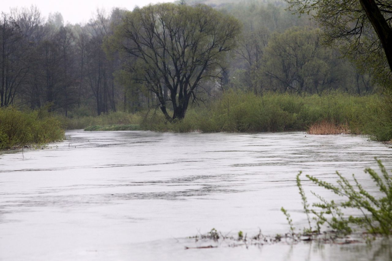 Świętokrzyskie: przekroczone stany ostrzegawcze na trzech rzekach